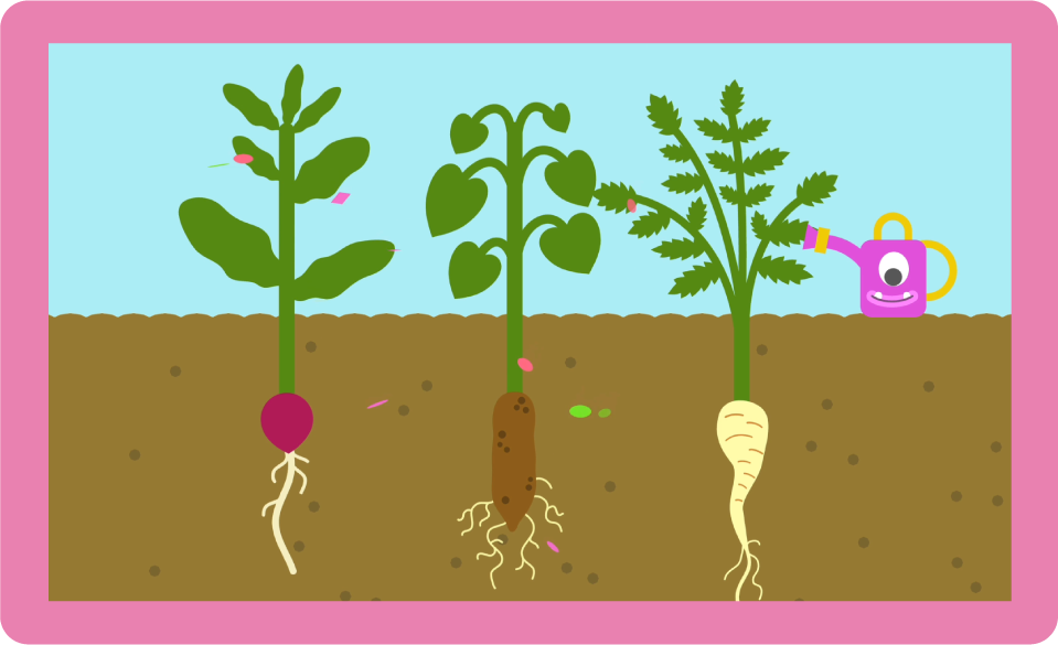 A cross-section of three vegetables growing underground with a watering can next to them.